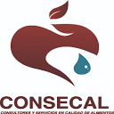 CONSECAL S.A. de C.V. logo