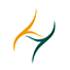 HELYXON HEALTHCARE SOLUTIONS PRIVATE LIMITED logo